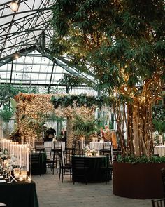 the inside of a greenhouse with tables and chairs set up for an outdoor wedding reception