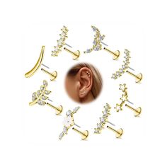 an earring with six different types of piercings