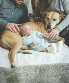 a man, woman and baby are laying on a bed with a dog