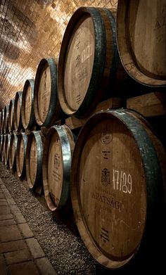 several wooden barrels lined up in a wine cellar