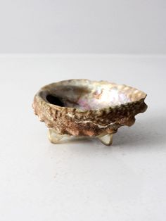 a shell shaped bowl sitting on top of a white table