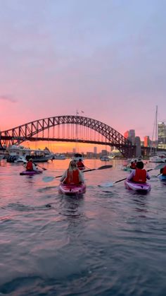 a group of people in kayaks paddling near the sydney harbour bridge at sunset