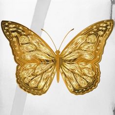 a golden butterfly with intricate details on it's wings is shown in front of a white background