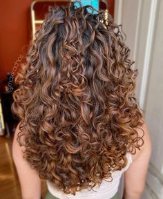 Caramel And Cinnamon Highlights, Orange Highlights Curly Hair, Curly Hair With Dark Highlights, Brown Curly Hair Boliage, 2c Curly Hair Color Ideas, Highlights 2c Hair, Curls With Highlights Brunettes, Caramel Balayage Brunette Curly Hair, Ombre Curly Hair Color