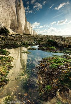 the beach is covered in seaweed and rocks under a blue sky with wispy clouds