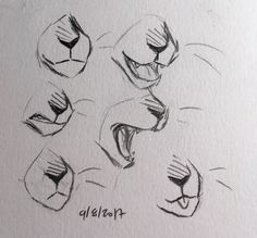 a drawing of four different angles of a lion's mouth