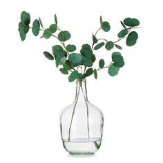 a glass vase with some green leaves in it