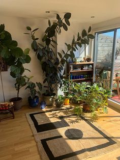 a living room filled with lots of plants next to a large open window on top of a hard wood floor