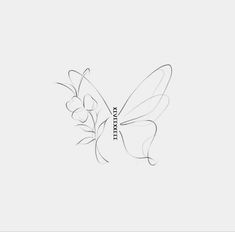 a drawing of a butterfly on a white background