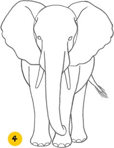 how to draw an elephant for kids step by step drawing instructions with pictures and videos