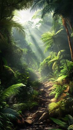 the sun shines through the trees and leaves in this tropical jungle scene with sunlight streaming through