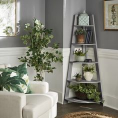 a living room filled with furniture and a potted plant on top of a shelf