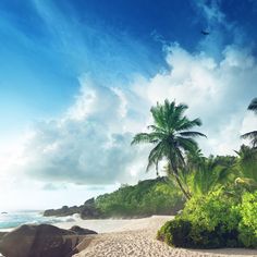 a sandy beach with palm trees on the shore and blue sky in the back ground