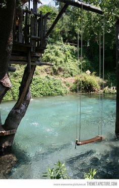 a swing set in the water next to a tree