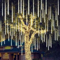 a large tree with lights hanging from it's branches in front of a house