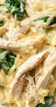 pasta with chicken, spinach and cheese on it