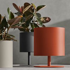 three different colored lamps sitting next to each other on top of a wooden table with plants in them