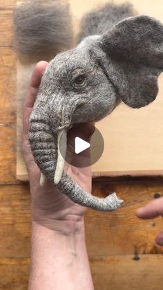 an elephant is being held up by someone