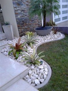 a garden with rocks and plants in it