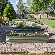 a garden filled with lots of green plants