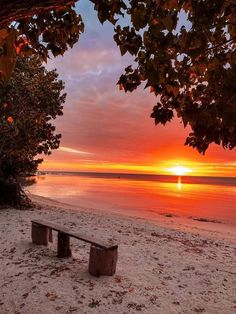 a bench sitting on top of a sandy beach next to the ocean at sunset or dawn