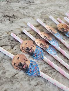 several toothbrushes with dogs on them are lined up in a row and one has a dog's head on it