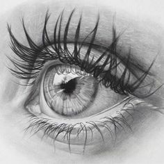 a pencil drawing of an eye with long lashes