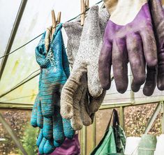 several gloves hanging on a clothes line in a greenhouse