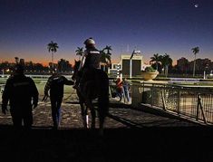 two people are riding horses at night in front of palm trees and the city skyline