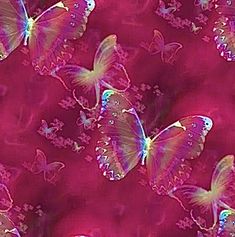 a group of butterflies flying through the air on a red and pink background with white flowers