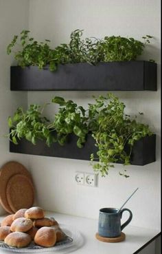 two black wall mounted planters with plants in them and doughnuts on a plate