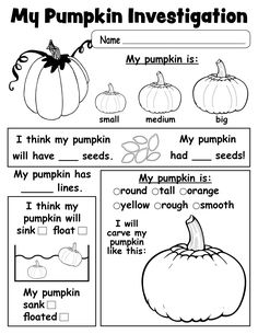 Pumpkin Investigation Worksheet - FREE Printable! Pumpkin Investigation, Pumpkin Lessons, Fall Worksheets, Pumpkin Activities, Fall Kindergarten, Kindergarten Science, Preschool Science, Science Worksheets