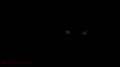 a cat's eyes are glowing in the dark