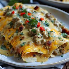 an enchilada with meat, cheese and vegetables on a plate