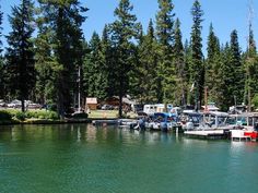 several boats are docked in the water near some pine trees and a cabin on the other side