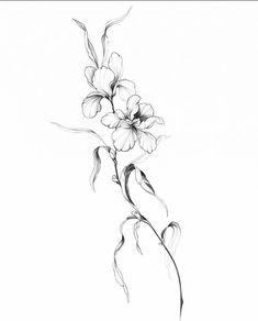 a black and white drawing of flowers in a vase