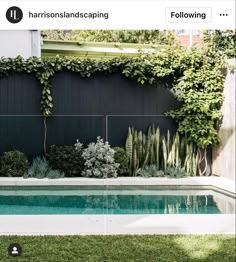 a pool surrounded by greenery next to a fence