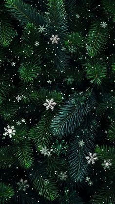 snowflakes and pine needles are seen in this christmas tree wallpaper pattern,