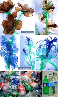 several pictures of plastic bottles and flowers