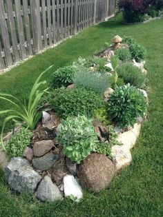 a garden with rocks and plants in it