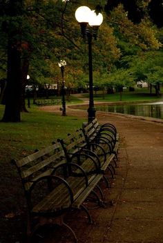 several park benches are lined up along the water's edge near a lamp post