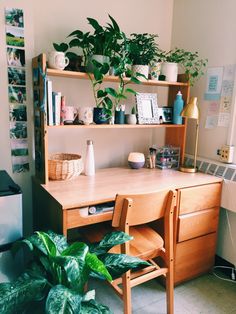 a wooden desk sitting next to a green plant on top of a wooden shelf in a room