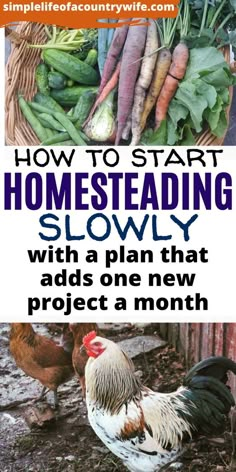 chickens, carrots and broccoli in a basket with text overlay reading 12 months of homeseading do one thing every month to grow your