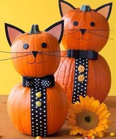 two pumpkins with cats on them sitting next to a sunflower