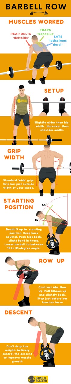 Barbell Row Proper Form Back Rows Exercise, Barbell Rows Workout, Gorilla Rows Form, Daily Gym Workout Plan, Barbell Rows Form, Barbell Back Squat Form, Barbell Back Row, Barbell Upright Row, Barbell Row Form