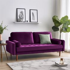 a living room with a purple couch and potted plant