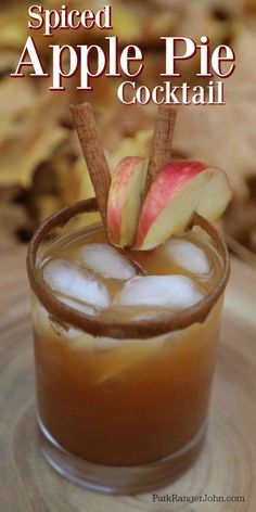 an apple cider with ice and cinnamon stick garnishes on the rim