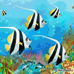 three black and white striped fish swimming in the ocean with corals, plants and other marine life