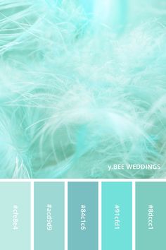 blue and green color scheme with white feathers