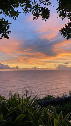 the sun is setting over the ocean with clouds in the sky and trees around it